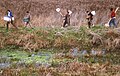 Day on The Katy Prairie: Photo courtesy of Michael Morton