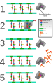 Extended version of previous diagram showing how penicillin inhibits bacterial cell wall synthesis via suicide inhibition.