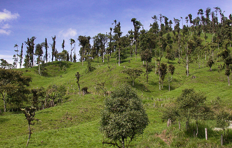 Archivo:Pichincha1a.jpg