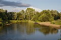 Liwiec river in Urle