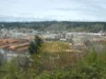 Simpson Timber Company mill in Shelton, on the Oakland Bay, viewed from the southeast.