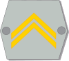 Insignia of alikersantti