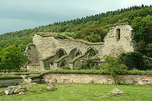 Alvastra-ruins-Sweden.jpg