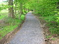 A portion of the new path built on the old 'Coach Road' looking up from the Chapelburn at the Anderson Plantation.