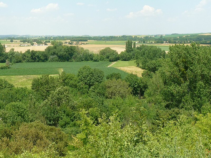 Файл:Charente vindelle.jpg