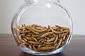 Freeze-dried mealworms as food (or food ingredient)