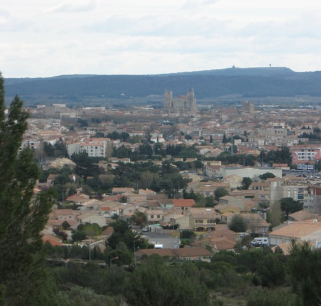 File:Narbonne (march 2008).jpg