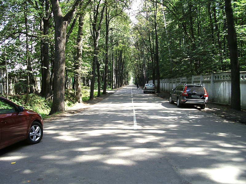 Файл:Pasechnaya street end.jpg