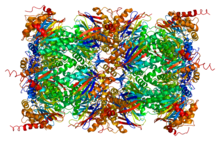 Protein PSMB2 PDB 1iru.png