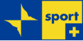 Rai Sport's fourth logo, used from 7 September 2009 to 18 May 2010.