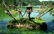 Monkey islands at the São Paulo Zoo.