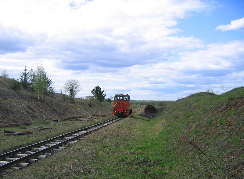 File:Altsevo peat TU8.jpg