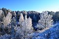 Image 21Winter in the countryside of Lithuania