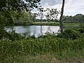 View from the Cayuga-Seneca Canal Trail.