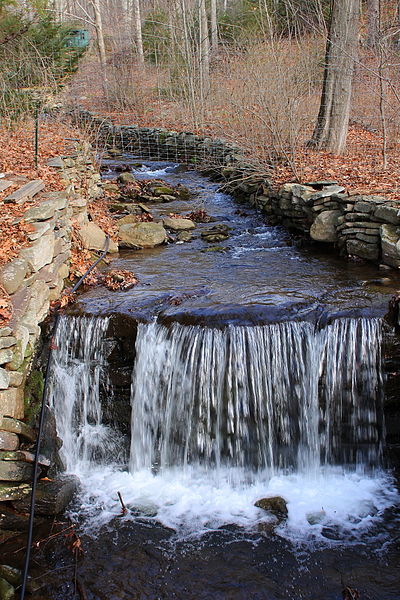 File:Maple Run looking upstream.JPG