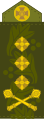 Генерал-лейтенант (Ukrainian Army)