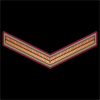 File:01. QENF-LCPL.svg