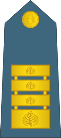 Файл:17-Slovenian Air Force-COL.svg