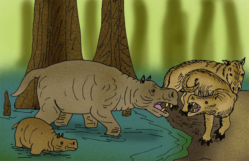 File:Anthracotherium magnus.jpg