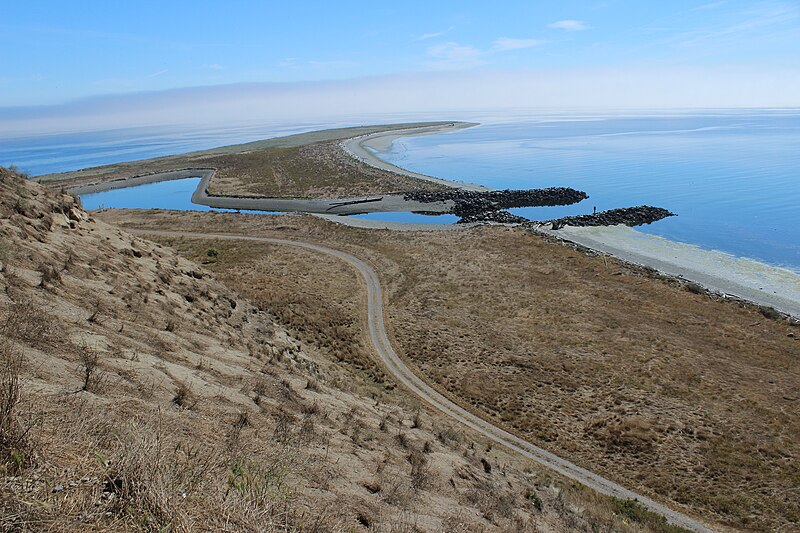 File:Auklet burrows, Protection Island.jpg