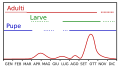 Thumbnail for version as of 17:44, 5 August 2007