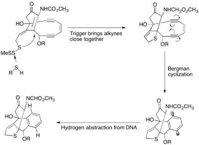 Mechanism of action for calicheamicin