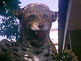 A jaguar statue in Rio de Janeiro's Zoological Garden.