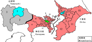 Single member results -- LDP in red, DPJ in light blue, Kōmeitō in green, Independent in gray