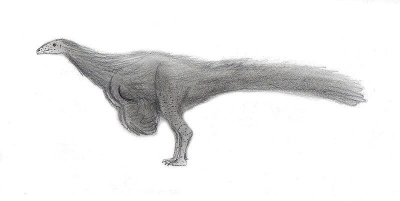 Archivo:Nqwebasaurus.jpg