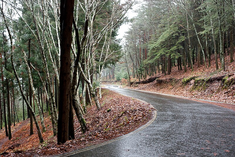 Archivo:Serra da Gardunha, 2011.02.14.jpg