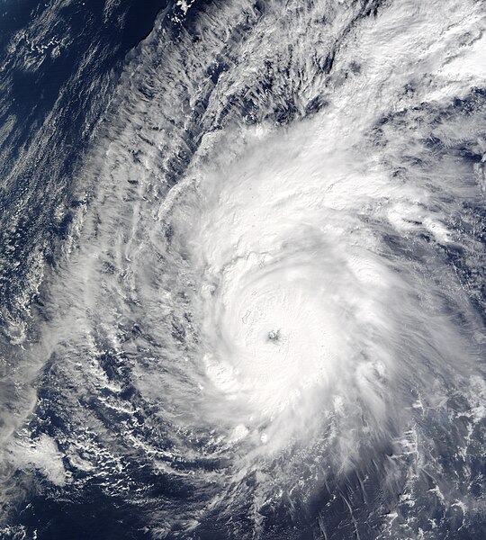 File:Typhoon Pongsona (2002).JPG