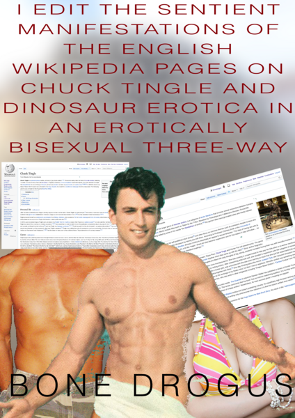 File:Wikipedia erotic novel.png