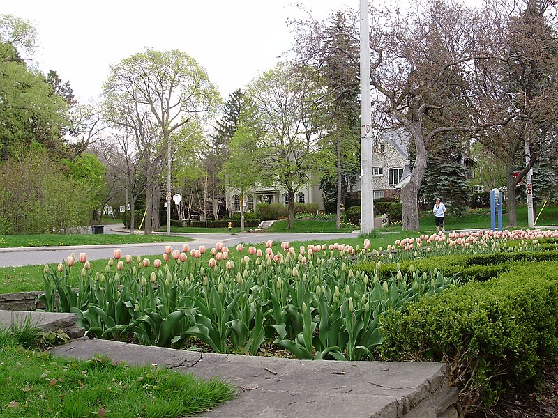 File:Lawrence Park South.jpg