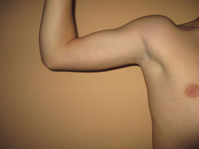 File:Shaved teen boy armpit.JPG