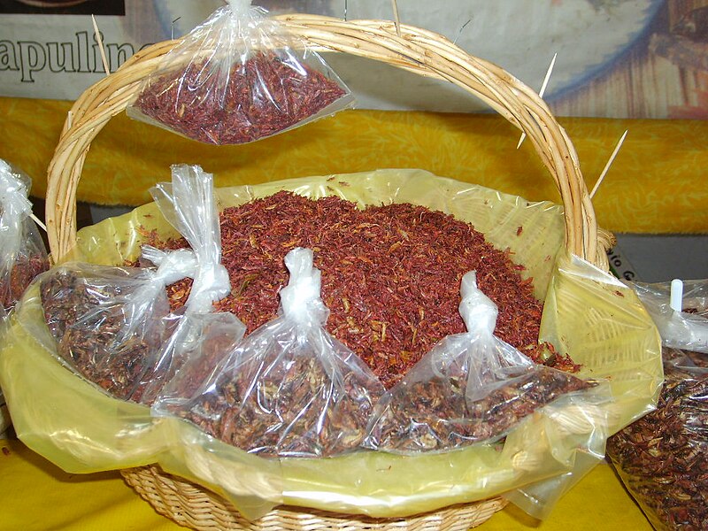 File:Small chapulines basket.JPG