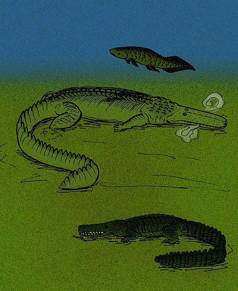 File:Stomatosuchus inermis.jpg