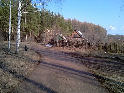 Освещённая лыжероллерная трасса в Затайрукском лесопарке