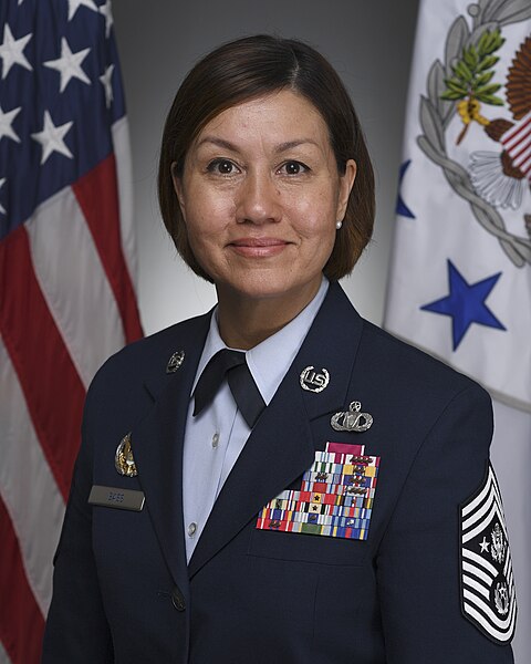 Файл:CMSgt JoAnne S. Bass.jpg