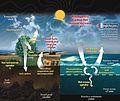 Image 35This diagram of the carbon cycle shows the movement of carbon between land, atmosphere, and oceans in billions of metric tons of carbon per year. Yellow numbers are natural fluxes, red are human contributions, white are stored carbon. (from Carbon dioxide in Earth's atmosphere)