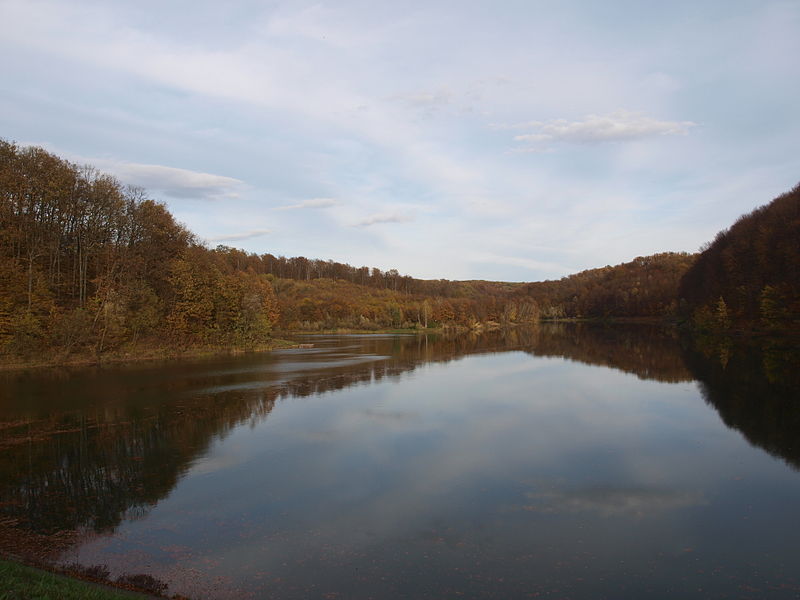 File:Jezero Petnja.jpg