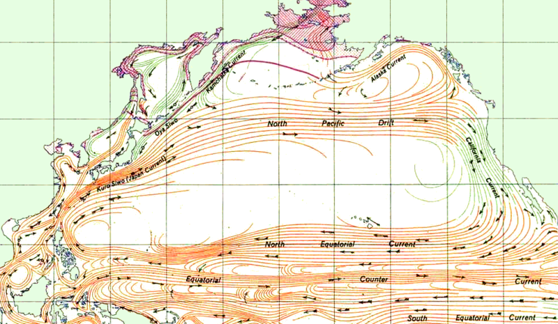 Файл:North Pacific Gyre.png