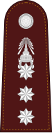 File:RTP OF-5 (Police Colonel).svg