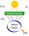 Bahasa Indonesia