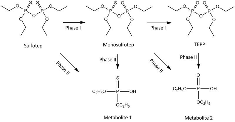 File:Sulfotep metabolites.png