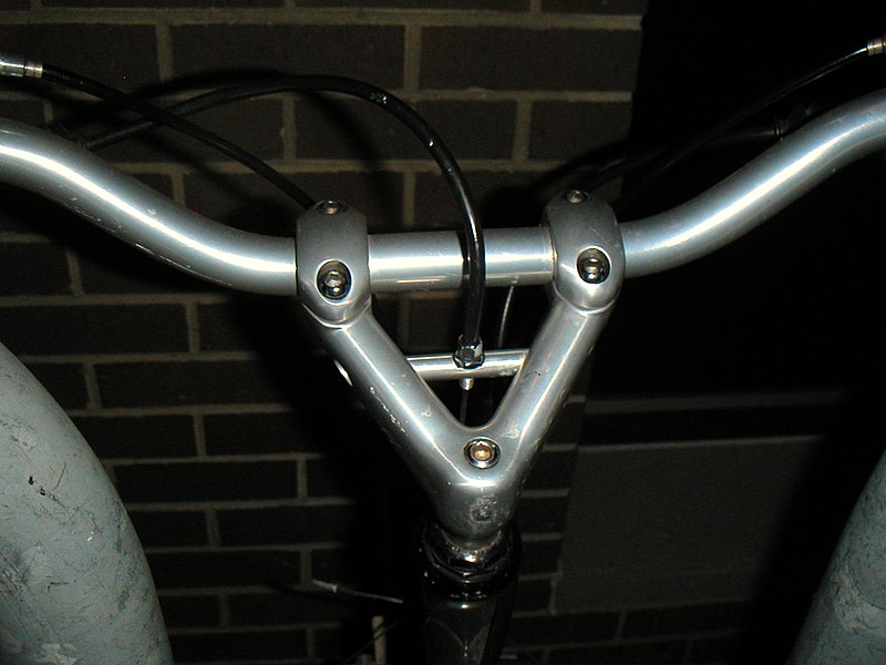 File:Two-headed stem.JPG