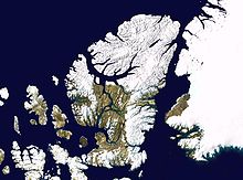 Wfm ellesmere island.jpg