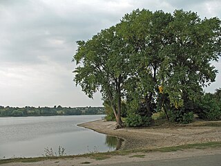 Берег водохранилища