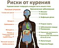 Миниатюра для версии от 19:22, 12 июля 2019