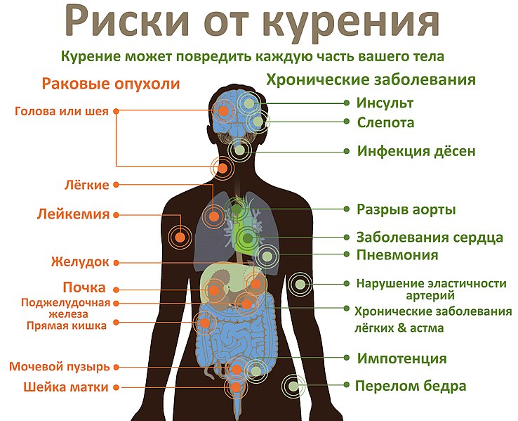 Файл:Риски от курения.jpg