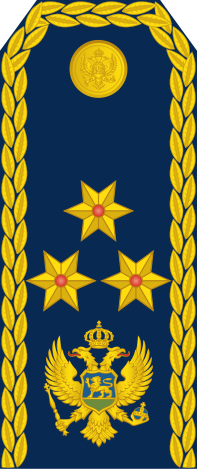 File:18-Montenegro Air Force-LG.svg